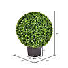 Vickerman 20" Artificial Green Boxwood Ball Image 2