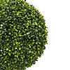 Vickerman 20" Artificial Green Boxwood Ball Image 3