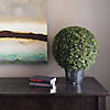 Vickerman 20" Artificial Green Boxwood Ball Image 4