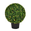 Vickerman 20" Artificial Green Boxwood Ball Image 1