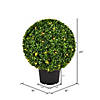 Vickerman 20" Artificial Green Boxwood Ball Image 2