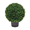 Vickerman 20" Artificial Green Cedar BallBall Diameter 20" Image 1