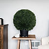 Vickerman 20" Artificial Green Cedar BallBall Diameter 20" Image 1
