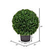 Vickerman 20" Artificial Green Cedar BallBall Diameter 20" Image 2