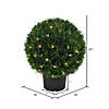 Vickerman 20" Artificial Green Cedar Ball Image 2