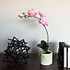 Vickerman 20" Artificial Lavender Orchid Image 1