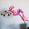 Vickerman 20" Artificial Lavender Orchid Image 3