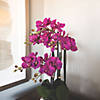 Vickerman 21" Artificial Purple Orchid Image 2