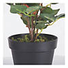 Vickerman 21" Artificial Red Rose Plant in Pot Image 2