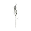 Vickerman 22" Artificial Rust Green Senecio Spray - 6/pk Image 2