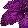 Vickerman 22" Purple Velvet Glitter Trim Poinsettia, 6 per bag. Image 2