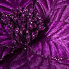 Vickerman 22" Purple Velvet Glitter Trim Poinsettia, 6 per bag. Image 3
