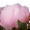 Vickerman 23" Artificial Brush Pink Peony Spray with 6 Flowers. Image 3