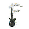 Vickerman 23" Artificial White Phalaenopsis In Metal Pot, Real Touch Petals Image 1