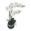 Vickerman 23" Artificial White Phalaenopsis In Metal Pot, Real Touch Petals Image 1