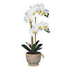 Vickerman 23" Artificial White Phalaenopsis In Pot, Real Touch Petals Image 1