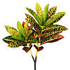 Vickerman 23" Real Touch Artificial Croton Spray. Includes 3 sprays per pack. Image 1