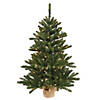 Vickerman 24" Anoka Pine Christmas Tree with Clear Lights Image 1