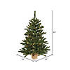 Vickerman 24" Anoka Pine Christmas Tree with Clear Lights Image 1