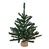 Vickerman 24" Anoka Pine Christmas Tree with Multi-Colored LED Lights Image 1