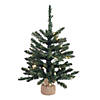 Vickerman 24" Anoka Pine Christmas Tree with Warm White LED Lights Image 1