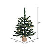 Vickerman 24" Anoka Pine Christmas Tree with Warm White LED Lights Image 1