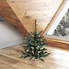 Vickerman 24" Anoka Pine Christmas Tree with Warm White LED Lights Image 3