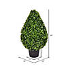 Vickerman 24" Artificial Boxwood Teardrop Shaped Bush, Black Plastic Pot Image 2