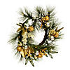 Vickerman 24" Artificial Christmas Wreath, Battery Operated Warm White Lights Image 1