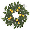 Vickerman 24" Artificial Green and Yellow Salal Leaf Lemon Wreath Image 1