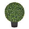 Vickerman 24" Artificial Green Boxwood Ball Image 1