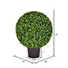 Vickerman 24" Artificial Green Boxwood Ball Image 2