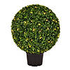 Vickerman 24" Artificial Green Boxwood Ball Image 1