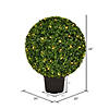 Vickerman 24" Artificial Green Boxwood Ball Image 2
