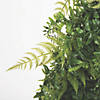 Vickerman 24" Artificial Green Buckler Fern and Grass Wreath Image 2