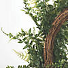 Vickerman 24" Artificial Green Buckler Fern and Grass Wreath Image 3