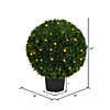 Vickerman 24" Artificial Green Cedar Ball. Image 2