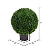 Vickerman 24" Artificial Green Cedar Ball Image 2