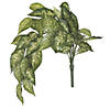 Vickerman 24" Artificial Green Dieffenbachia Bush Vine - 2/pk Image 1