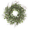 Vickerman 24" Artificial Green Olive Leaf Wreath Image 1