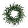 Vickerman 24" Artificial Mixed Fern Cedar Wreath Image 1
