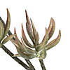 Vickerman 24" Artificial Mixed Green Aloe Spray - 3/pk Image 4