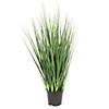 Vickerman 24" Artificial Potted Extra Full Green Grass Image 1