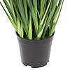 Vickerman 24" Artificial Potted Extra Full Green Grass Image 2