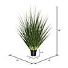 Vickerman 24" Artificial Potted Extra Full Green Grass Image 3