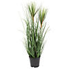 Vickerman 24" Artificial Potted Green Grass Image 1