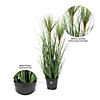 Vickerman 24" Artificial Potted Green Grass Image 4
