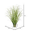 Vickerman 24" Artificial Potted Native Green Grass Image 2