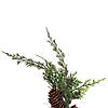 Vickerman 24" Artificial Snow Cedar Hanging Wreath with Pinecones. Image 3