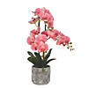 Vickerman 24" Artificial White Phalaenopsis In Cement Pot, Real Touch Petals Image 1